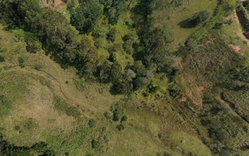 Lote para desarrollo en Rionegro