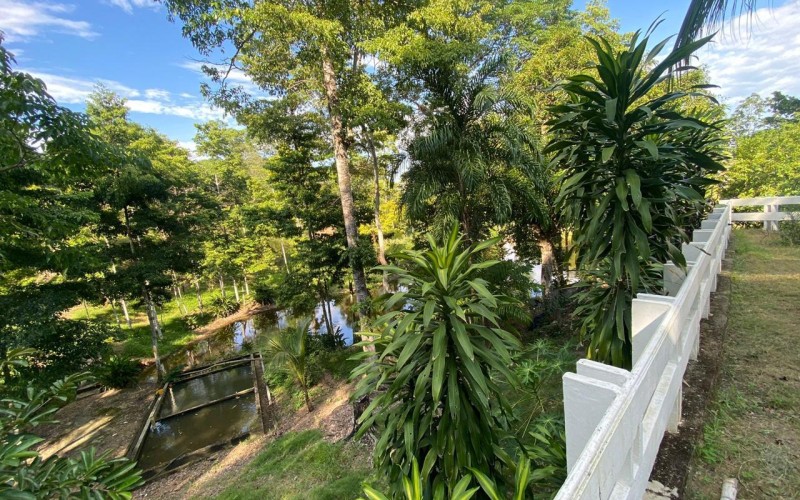 Casa Finca en Doradal, oportunidad única.