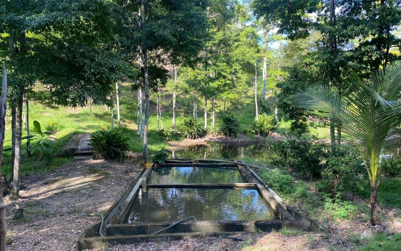 Casa Finca en Doradal, oportunidad única.