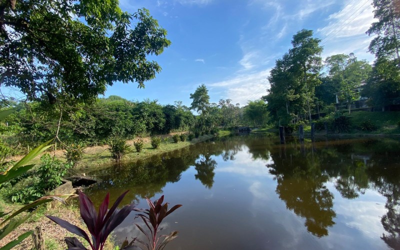 Casa Finca en Doradal, oportunidad única.