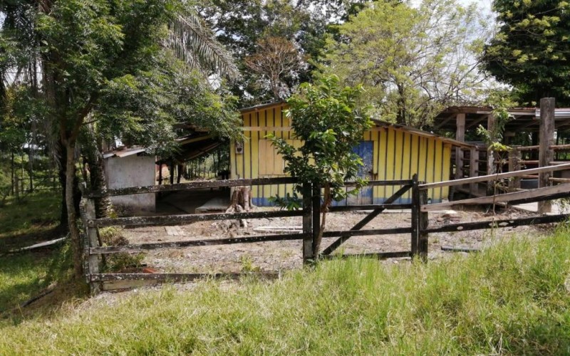 Casa Finca en Doradal, oportunidad única.