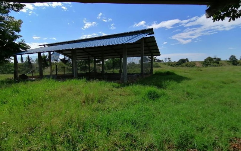 Casa Finca en Doradal, oportunidad única.