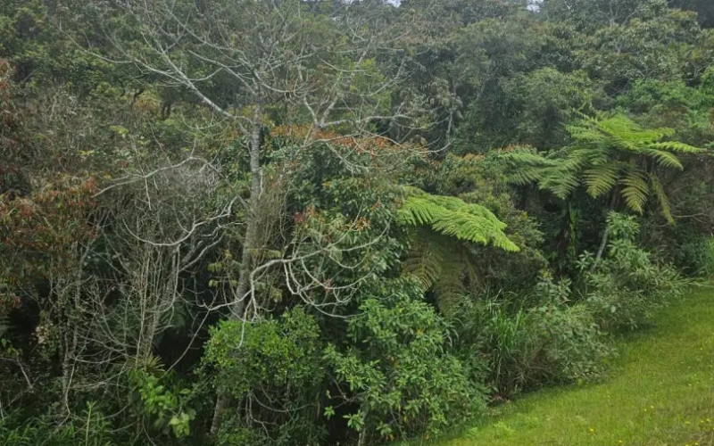 Country Lot in Sierra Alta, El Retiro – 3,800 m² Unique Opportunity