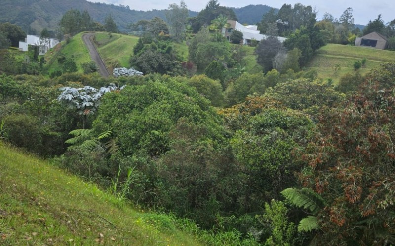 Lote Country en Sierra Alta, El Retiro – 3,800 m² Oportunidad Única