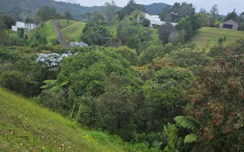 Country Lot in Sierra Alta, El Retiro – 3,800 m² Unique Opportunity