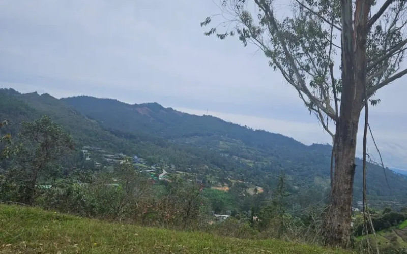 Country Lot in Sierra Alta, El Retiro – 3,800 m² Unique Opportunity