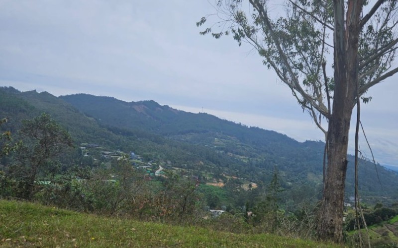 Lote Country en Sierra Alta, El Retiro – 3,800 m² Oportunidad Única
