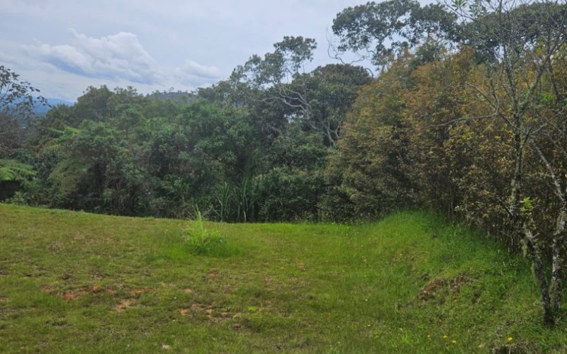 Lote Country en Sierra Alta, El Retiro – 3,800 m² Oportunidad Única