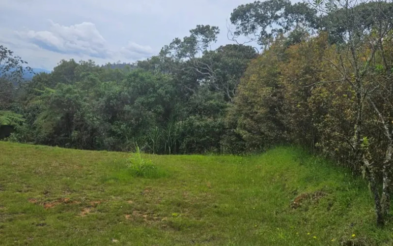 Country Lot in Sierra Alta, El Retiro – 3,800 m² Unique Opportunity