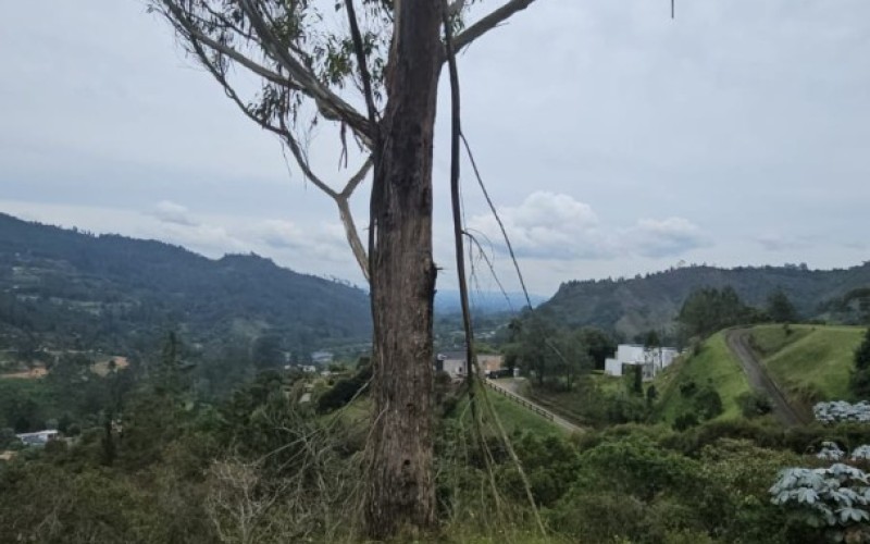 Lote Country en Sierra Alta, El Retiro – 3,800 m² Oportunidad Única