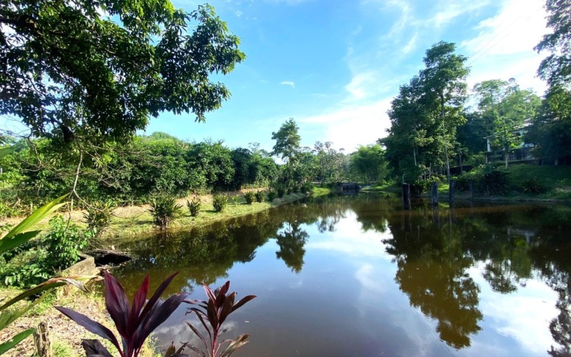 Casa Finca en Doradal, oportunidad única.