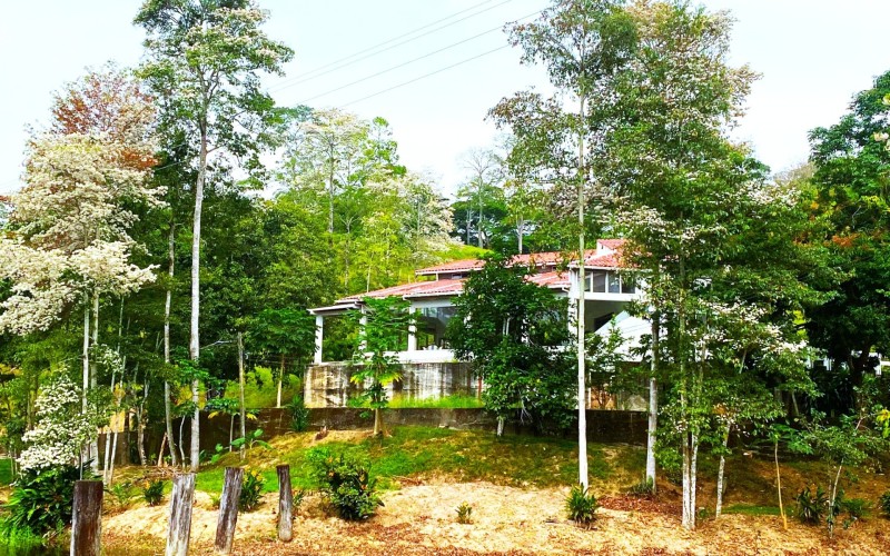 Casa Finca en Doradal, oportunidad única.