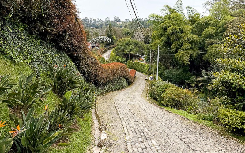 Peace, Nature, and Strategic Location in Eastern Antioquia