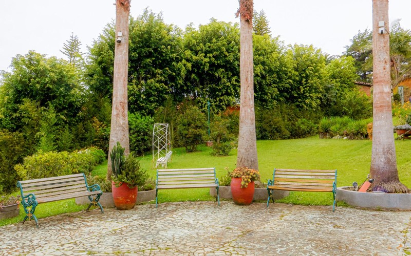 Peace, Nature, and Strategic Location in Eastern Antioquia
