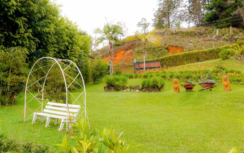 Peace, Nature, and Strategic Location in Eastern Antioquia