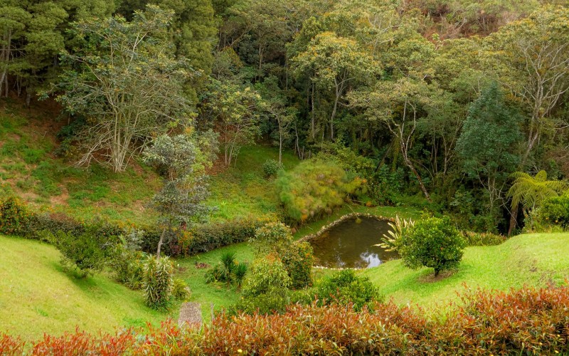 Peace, Nature, and Strategic Location in Eastern Antioquia