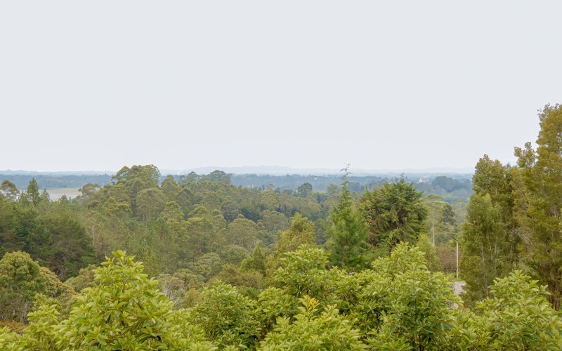 Peace, Nature, and Strategic Location in Eastern Antioquia