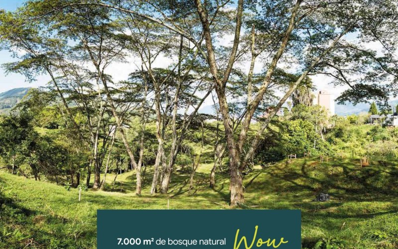 Apto de lujo en cesión – ¡Oportunidad para tu familia en contacto con la naturaleza!