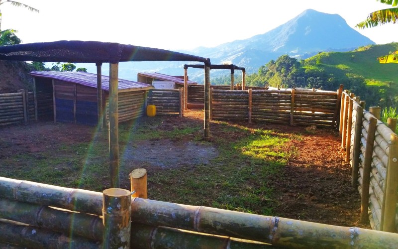 Finca de Lujo en Fredonia (Café y Agroturismo).