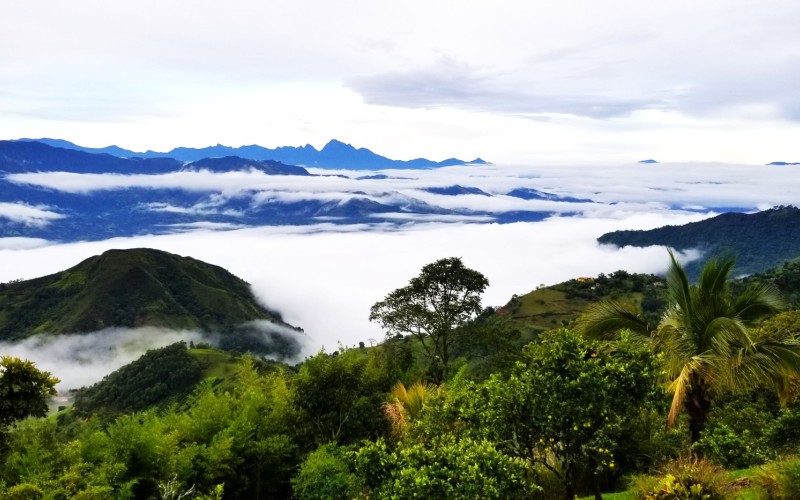 Finca de Lujo en Fredonia (Café y Agroturismo).