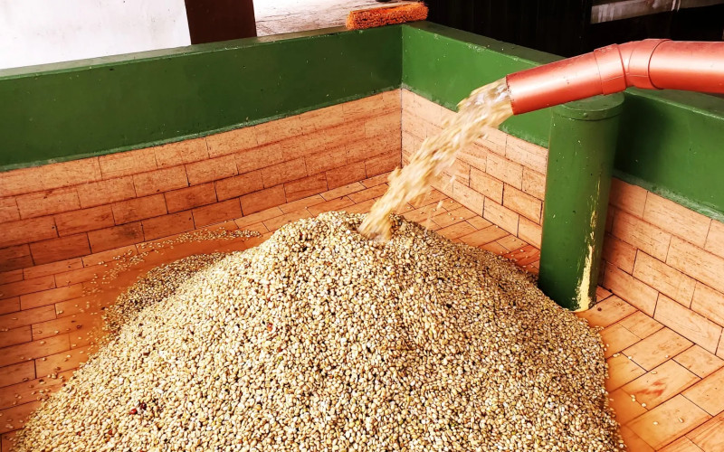 Traditional Specialty Coffee & Agri-Tourism Estate in Fredonia