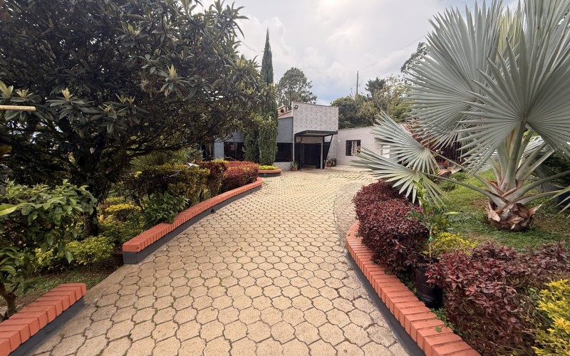 Charming Villa Esther Farm | Ideal for Eco-Living with Airbnb-Style Daily Rental Option or Investment Projects