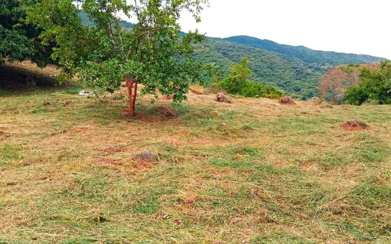 Lote en parcelación San Jerónimo