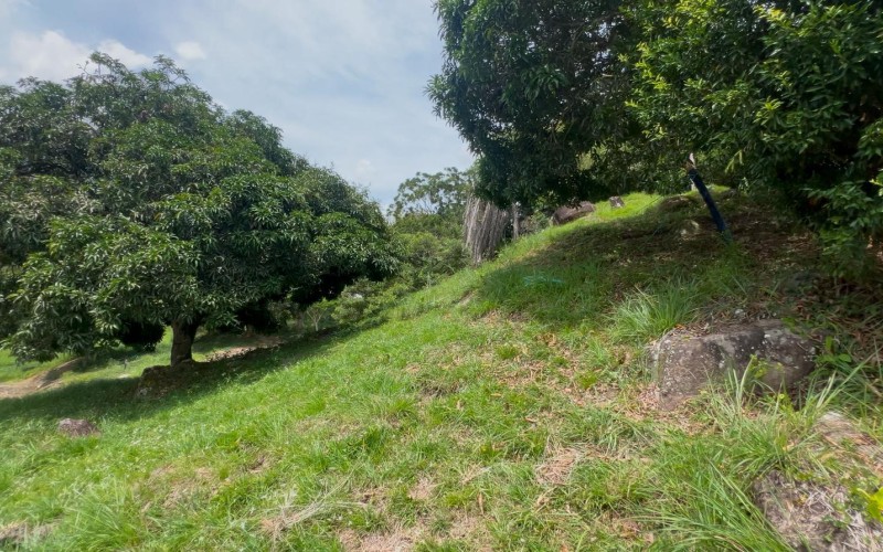 Lote en parcelación San Jerónimo