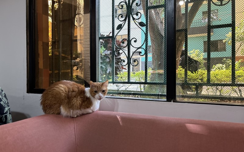 Casa en BARRIO COLONIAL de Medellín - PATRIMONIO HISTORICO