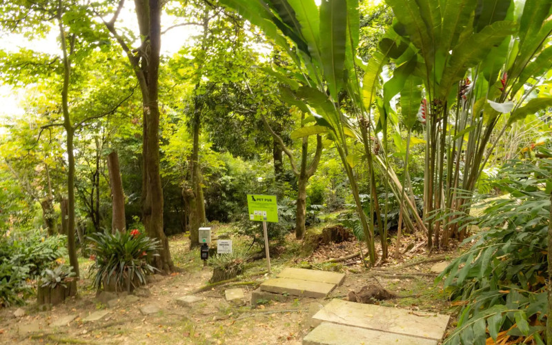 Renovated 165 m2 Apartment in El Tesoro, Medellin | 3 Bed + Den