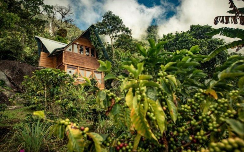 Eco Hotel en Támesis