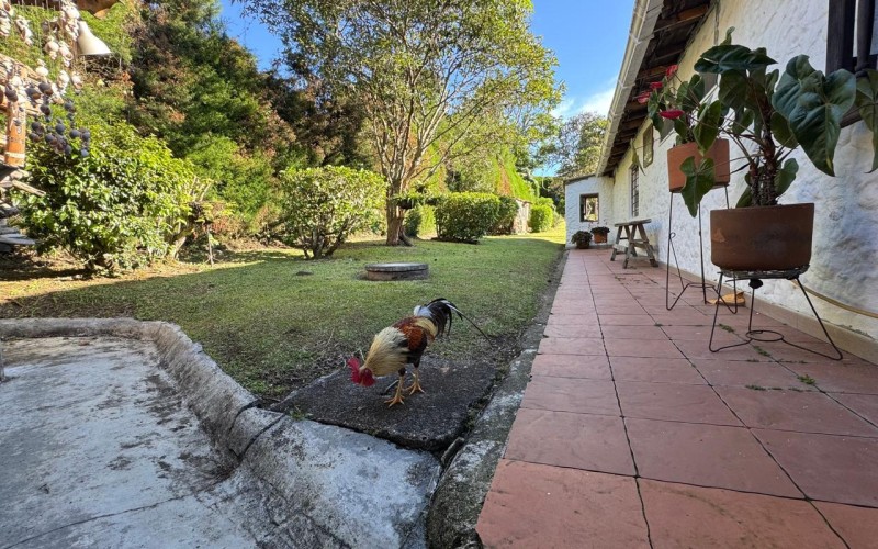 Quiet colonial estate in Guarne Antioquia