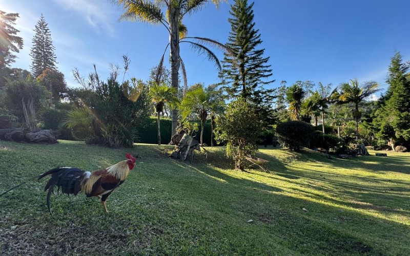 Quiet colonial estate in Guarne Antioquia
