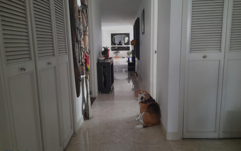 Apartamento en Medellín en Alejandría