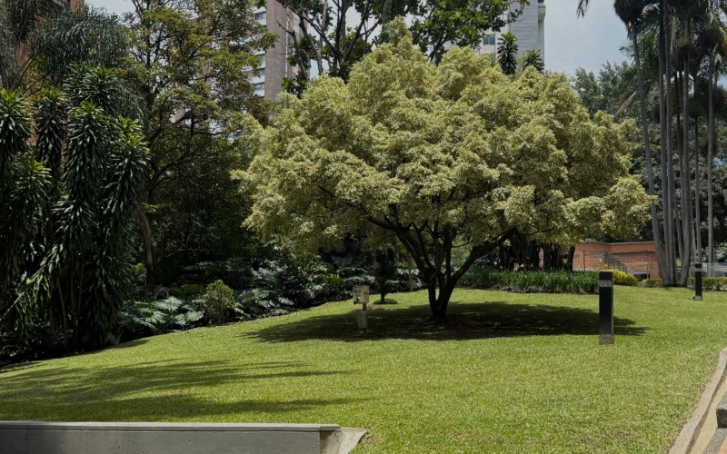 Apartamento en Medellín en Alejandría