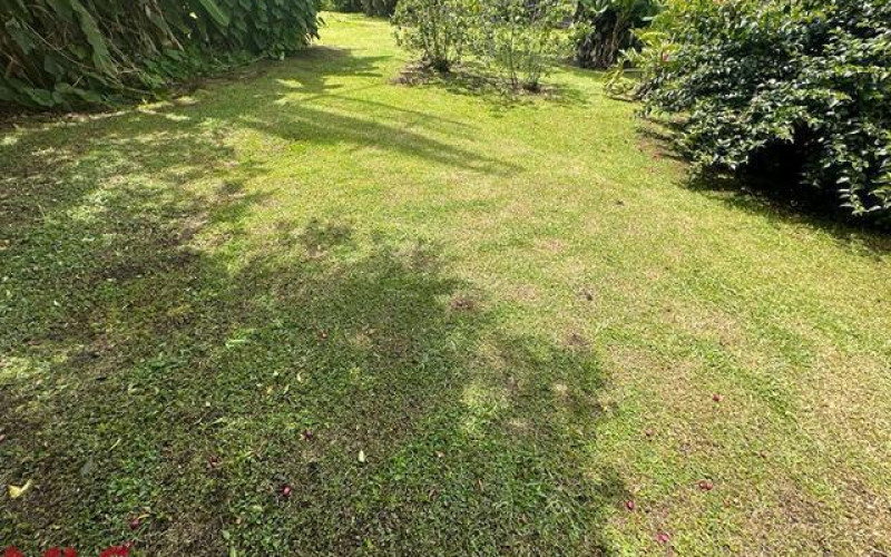 Lote Residencial en Rionegro en Rancherias