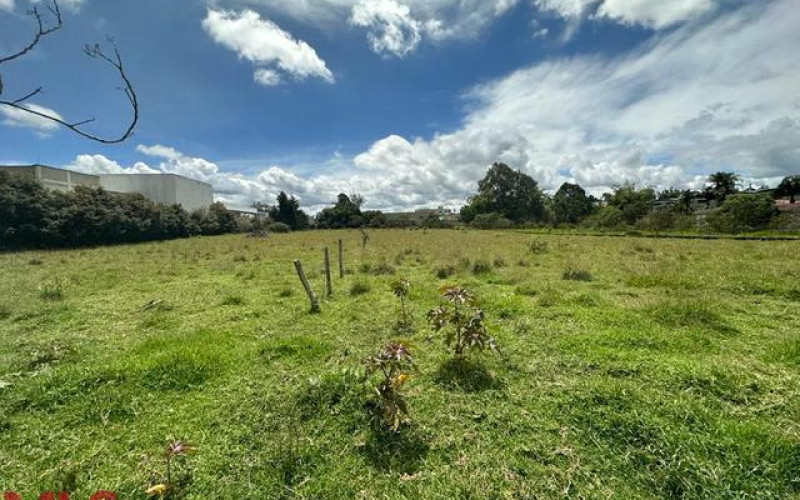 Lote Residencial en Rionegro en Rancherias