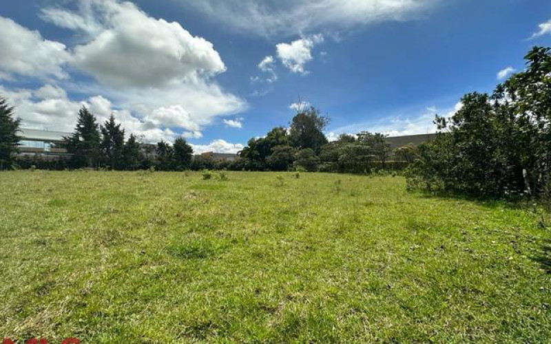 Lote Residencial en Rionegro en Rancherias
