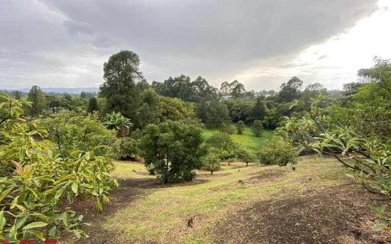 Casa en Rionegro en V. Cimarronas (Rionegro)