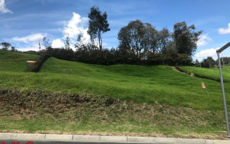 Lote Residencial en Envigado en Alto de las Palmas