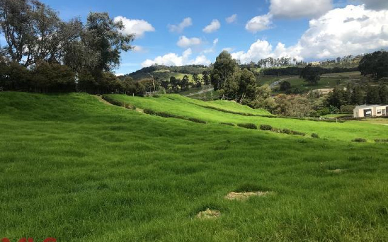 Lote Residencial en Envigado en Alto de las Palmas
