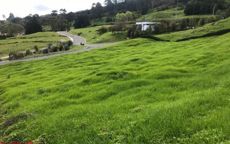 Lote Residencial en Envigado en Alto de las Palmas
