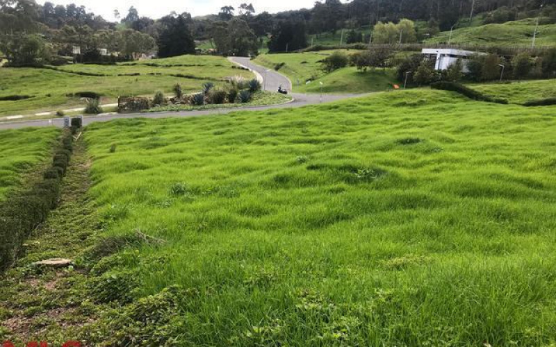 Lote Residencial en Envigado en Alto de las Palmas