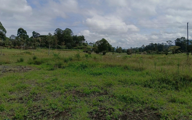 Lote Residencial en La Ceja en V. El Tambo