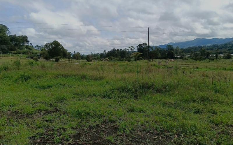 Lote Residencial en La Ceja en V. El Tambo
