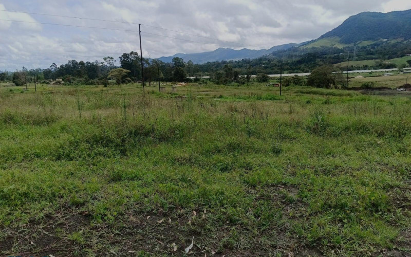 Lote Residencial en La Ceja en V. El Tambo