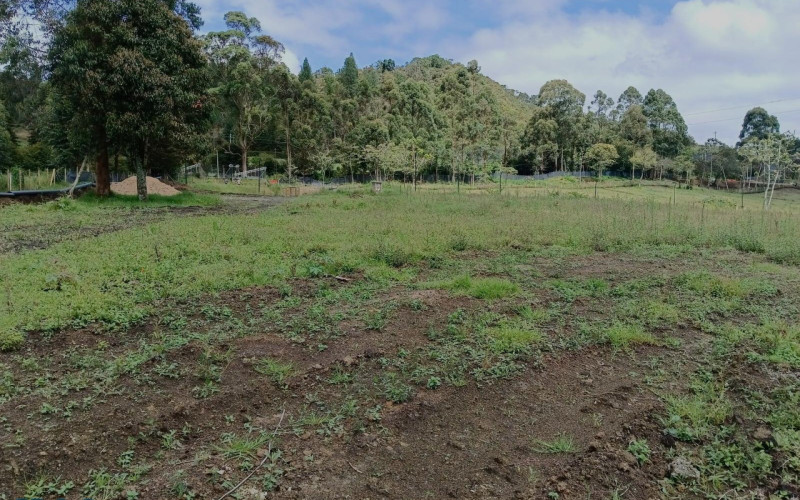 Lote Residencial en La Ceja en V. El Tambo