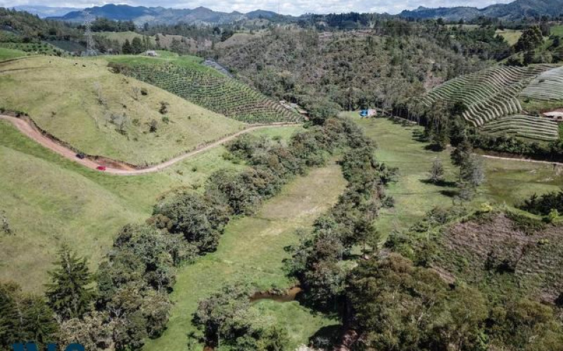 Lote Residencial en El Retiro en Pantanillo