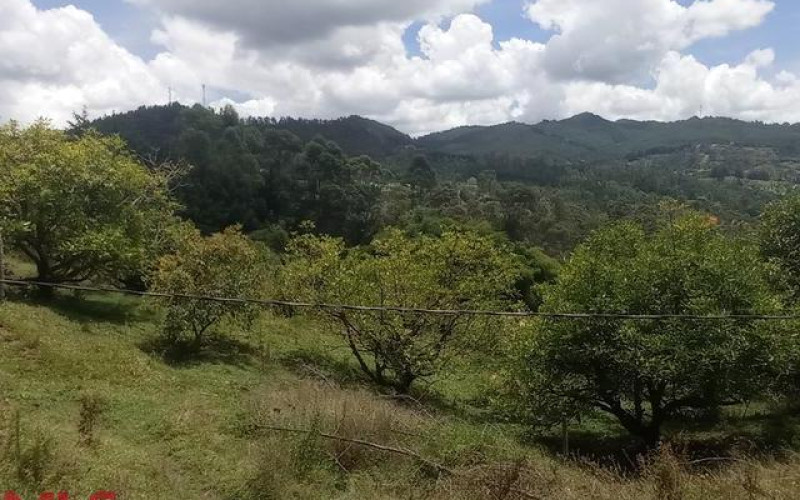 Lote Residencial en El Retiro en Corredor Don Diego