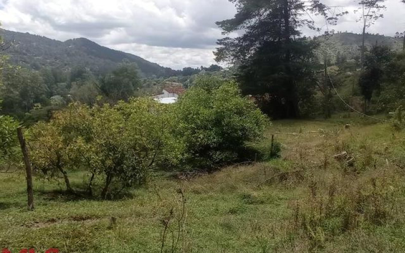 Lote Residencial en El Retiro en Corredor Don Diego